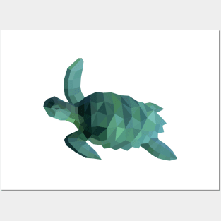 Green Sea Turtle Posters and Art